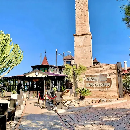 Your Holidays In La Mata